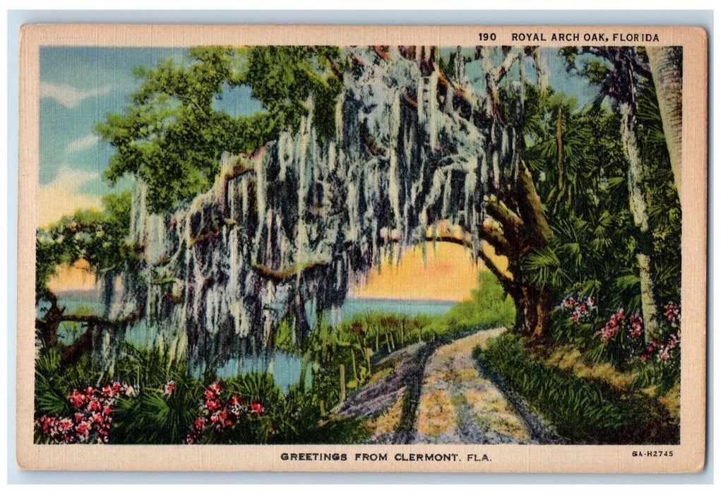 c1940s Greetings From Clermont Royal Arch Oak Florida FL Unposted Trees Postcard