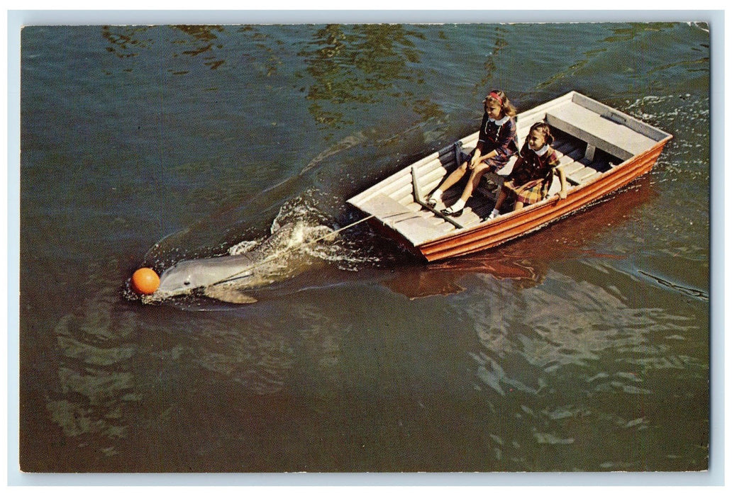 c1960s Floridaland Porpoise Takes Children For Boat Ride Sarasota FL Postcard