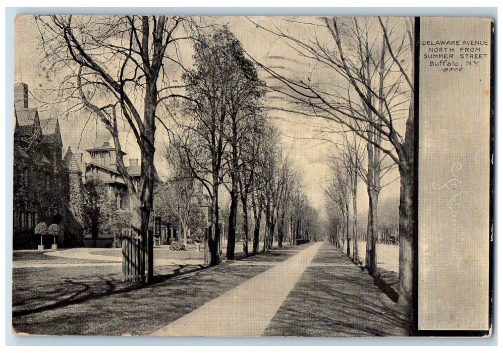 1908 Delaware Avenue North From Summer Street Buffalo New York NY Trees Postcard