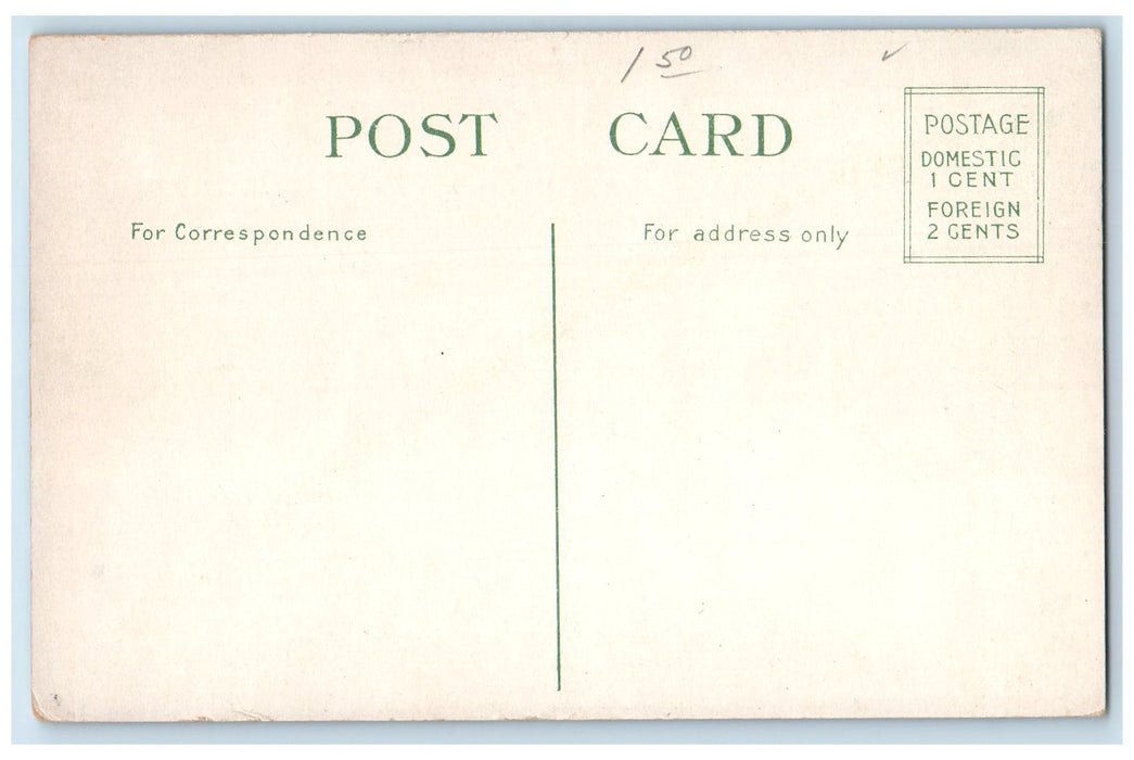 c1910s Canisius College Exterior Buffalo New York NY Unposted Flowers Postcard