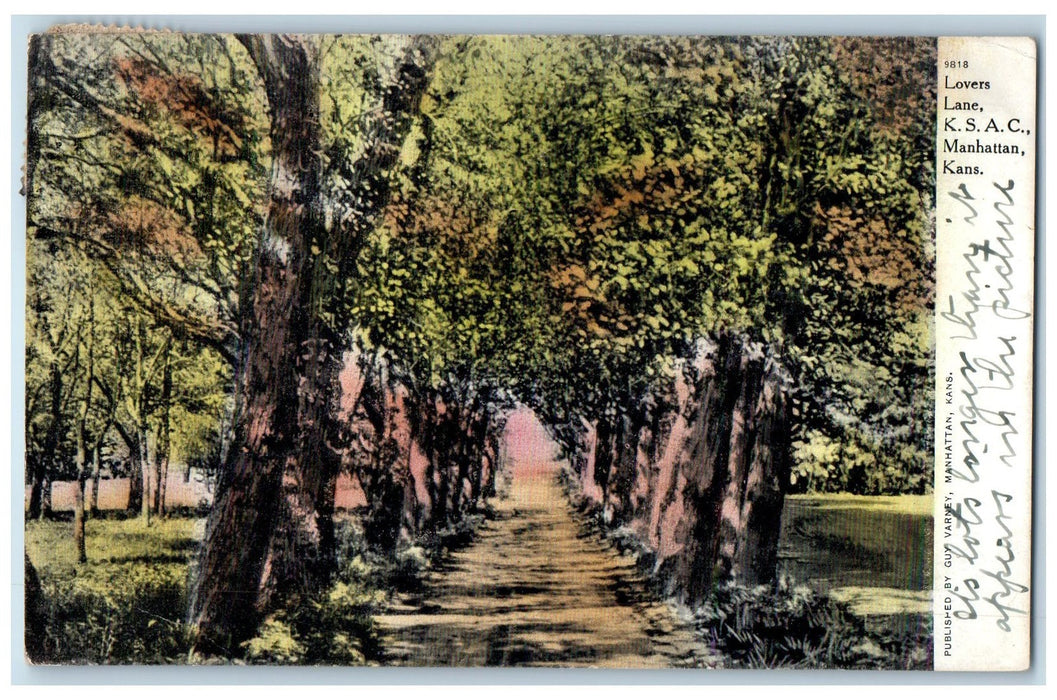 1908 Lovers Lane Kansas State Agricultural College Manhattan KS Posted Postcard
