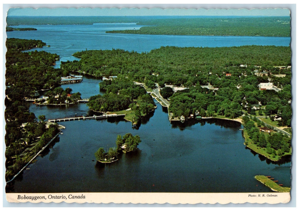 1973 Aerial View Of Bobcaygeon  Trees Ontario Canada CA Posted Vintage Postcard