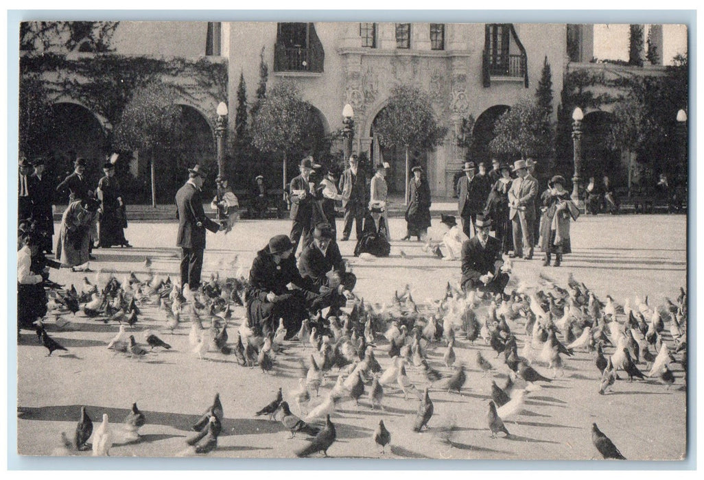 c1960's Pigeons Scene Plaza De Panama San Diego CA Unposted Vintage Postcard