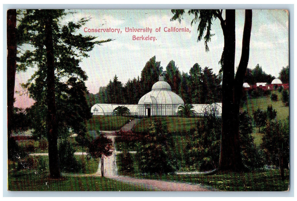 c1940's Conversatory University Of California Berkeley California CA Postcard