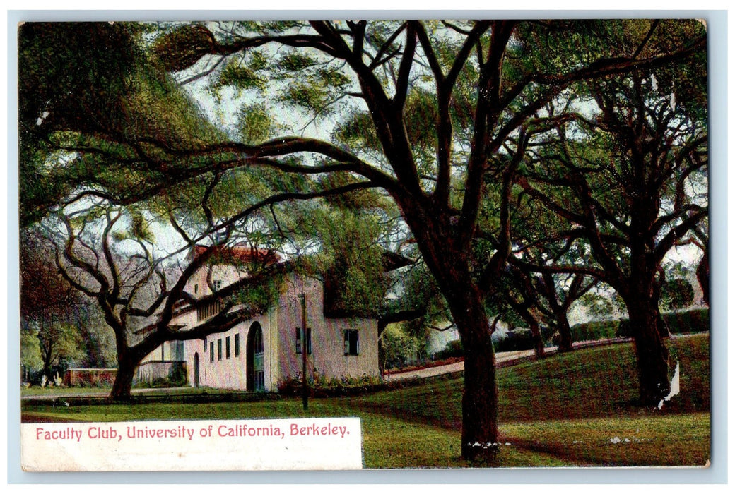 c1940's Faculty Club Scene University Of California Berkeley CA Trees Postcard