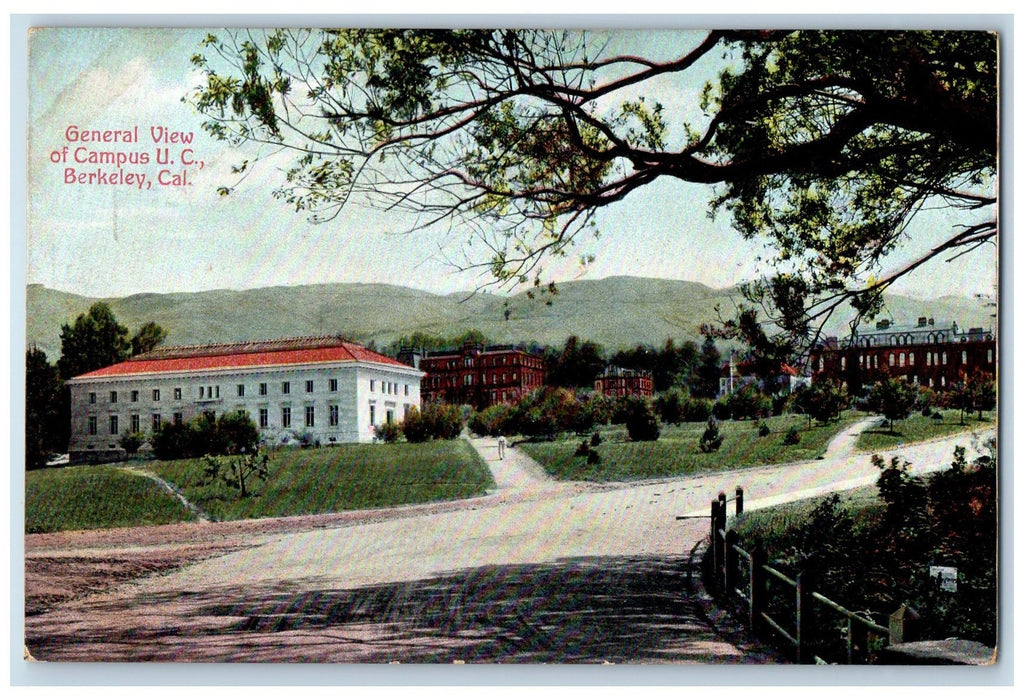 c1940's General View Of Camp University Of California Berkeley CA Trees Postcard