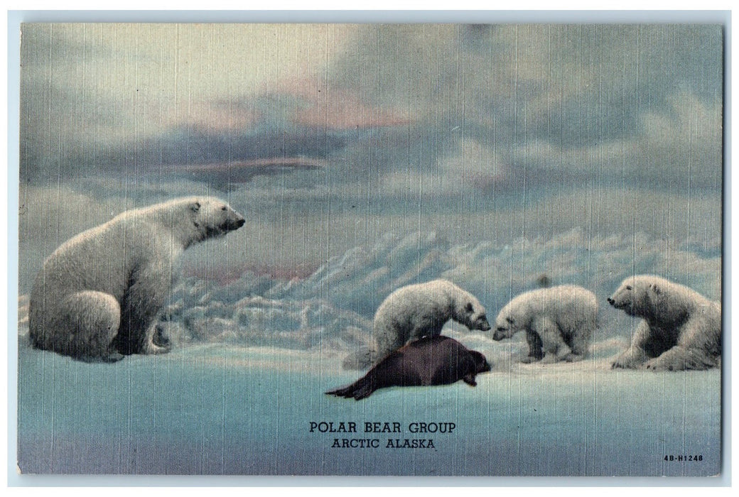 c1940's Polar Bear Group With Seal Hunt Food Snow Arctic Alaska AL Postcard