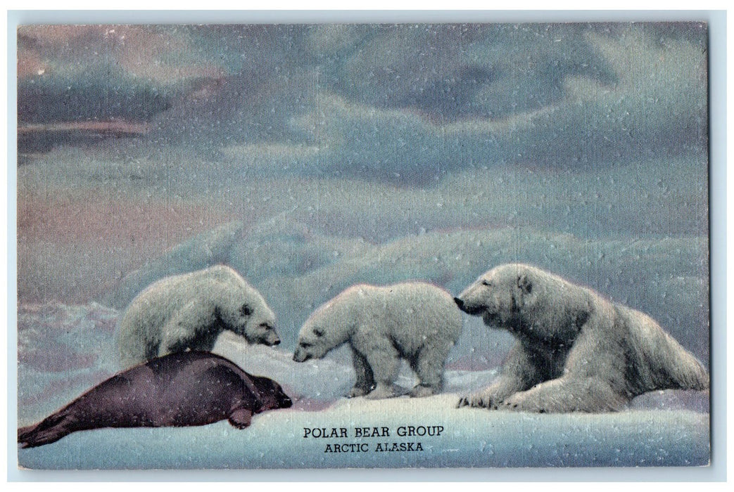 c1940's Polar Bear Group Family Seal Hunt Food Snow Arctic Alaska AL Postcard