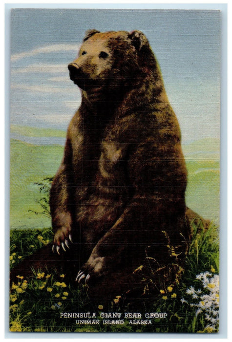 c1940's Peninsula Giant Bear Group Wildlife Unimak Island Alaska AL Postcard