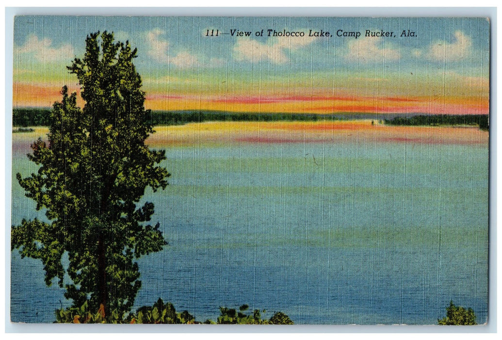 c1940's Scenic View Of Tholocco Lake Groves Trees Camp Rucker Alaska AL Postcard