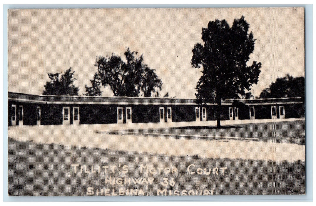 c1940s Tillitt's Motor Court Highway Shelbina Missouri MO Unposted Tree Postcard