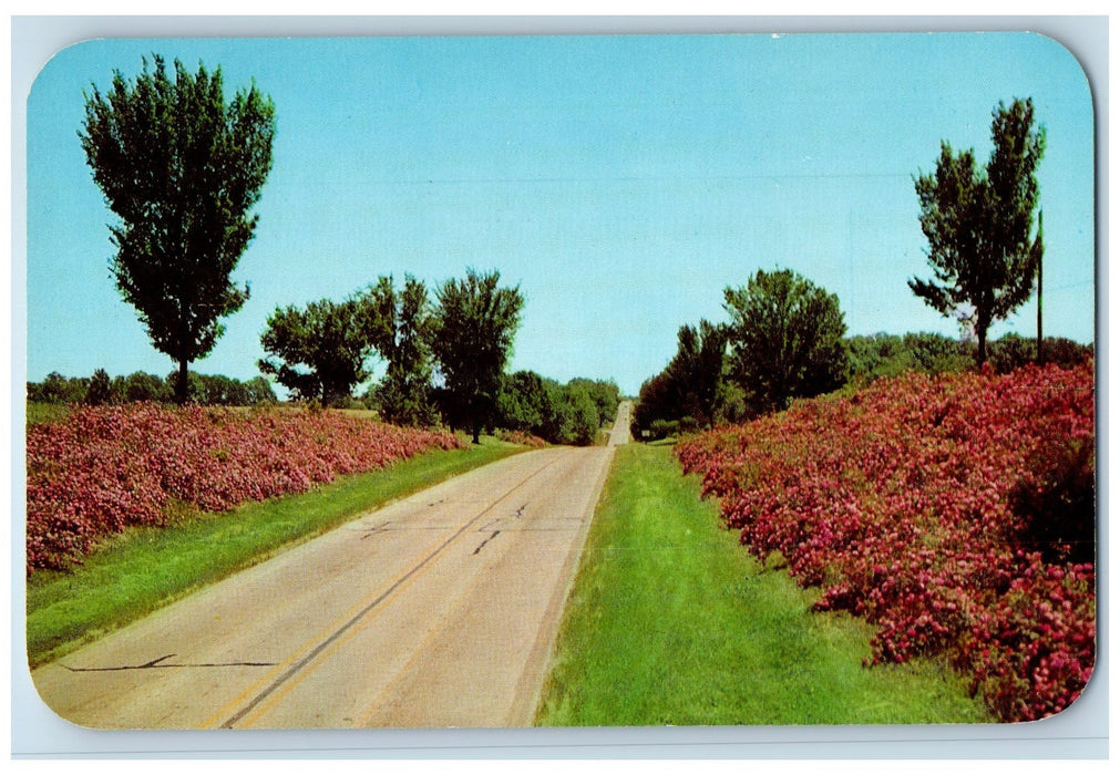 c1960's Ten Mile Garden Between Jackson And Cape Girardeau Missouri MO Postcard