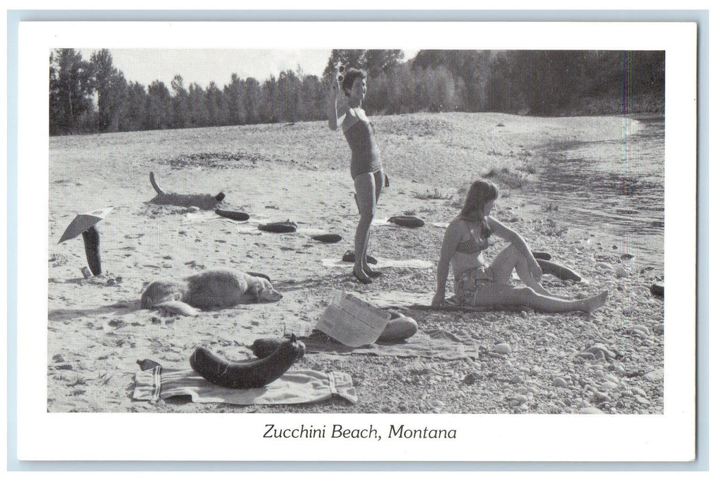 c1960s Zucchini Beach Women And Dog Scene Montana MT Unposted Vintage Postcard