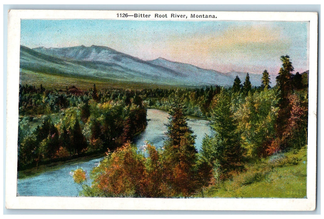 c1940's Bitter Root River Mountain Scene Montana MT Unposted Vintage Postcard