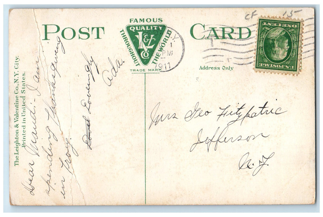 1911 Second Ave. From 22nd Street Railroad Lined Trees Troy New York NY Postcard