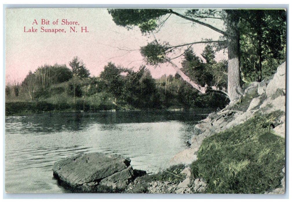 c1920s A Bit Of Shore Trees View Lake Sunapee New Hampshire NH Unposted Postcard