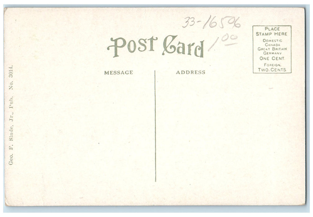 c1920s A Bit Of Shore Trees View Lake Sunapee New Hampshire NH Unposted Postcard