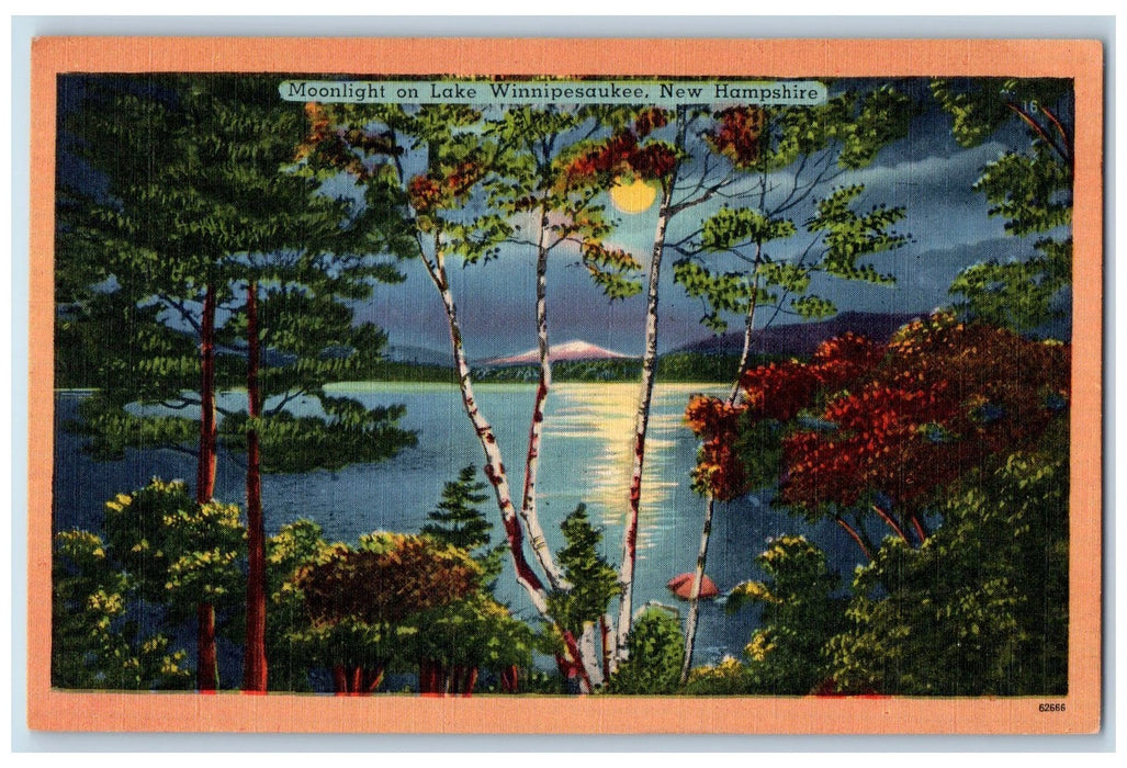 1956 Moonlight View On Lake Winnepesaukee New Hampshire NH Posted Trees Postcard