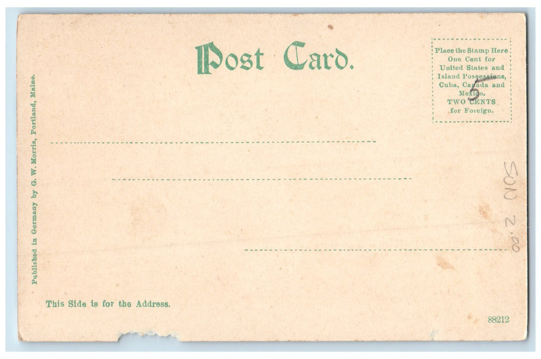 c1905s Birds-Eye View Of Manchester New Hampshire NH Unposted Vintage Postcard