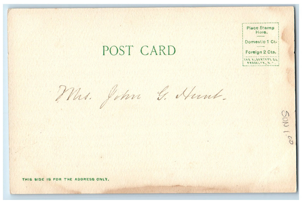 c1905s Meadows North Trees Scene Conway New Hampshire NH Unposted Cows Postcard