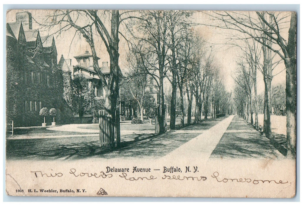 1907 Delaware Avenue Lined Trees Street Buildings Buffalo New York NY Postcard