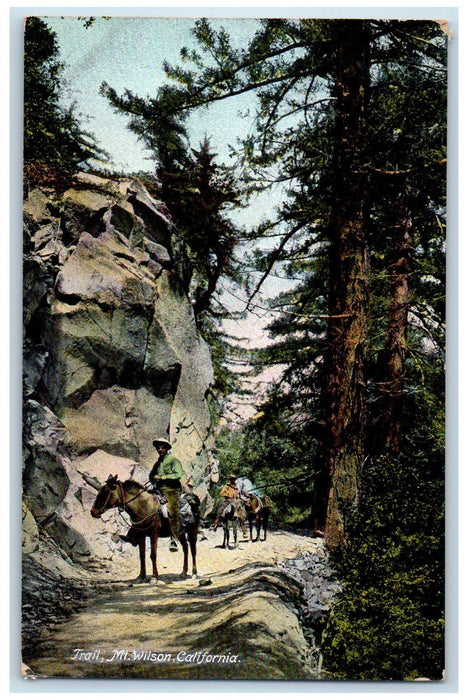 c1905's Trail Horseback Riding Scene Mt. Wilson California CA Unposted Postcard