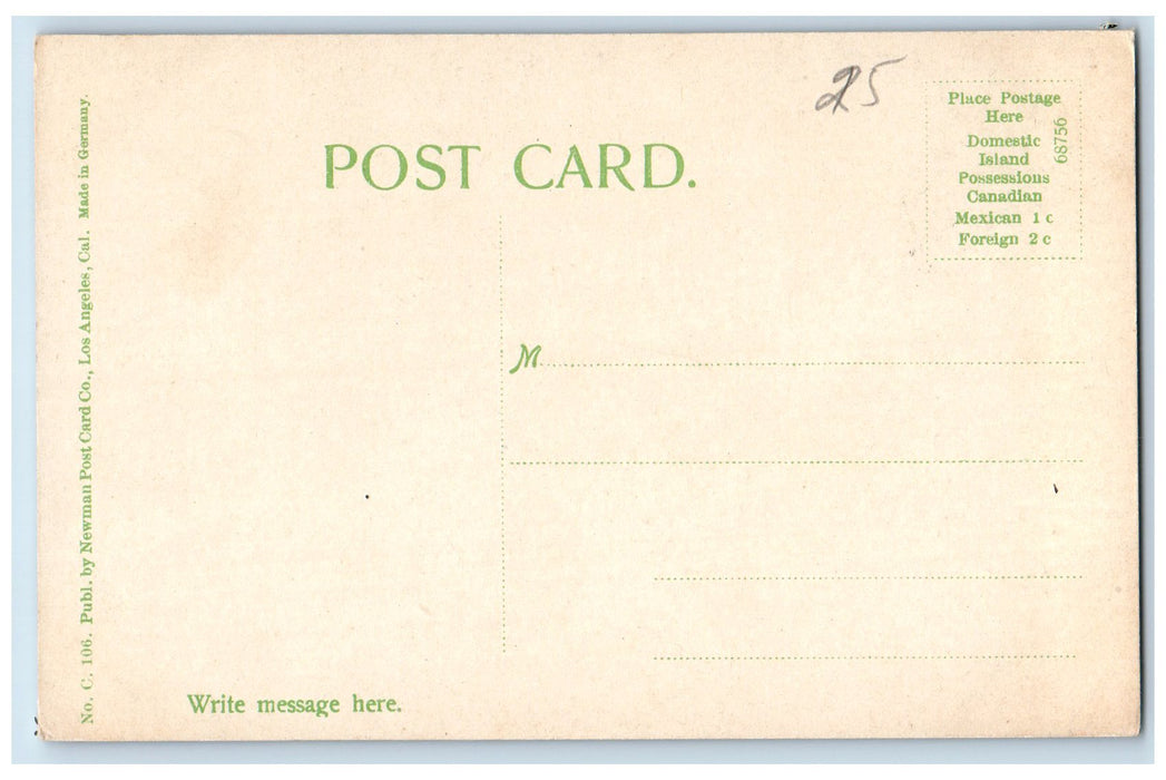 c1905's Trail Horseback Riding Scene Mt. Wilson California CA Unposted Postcard