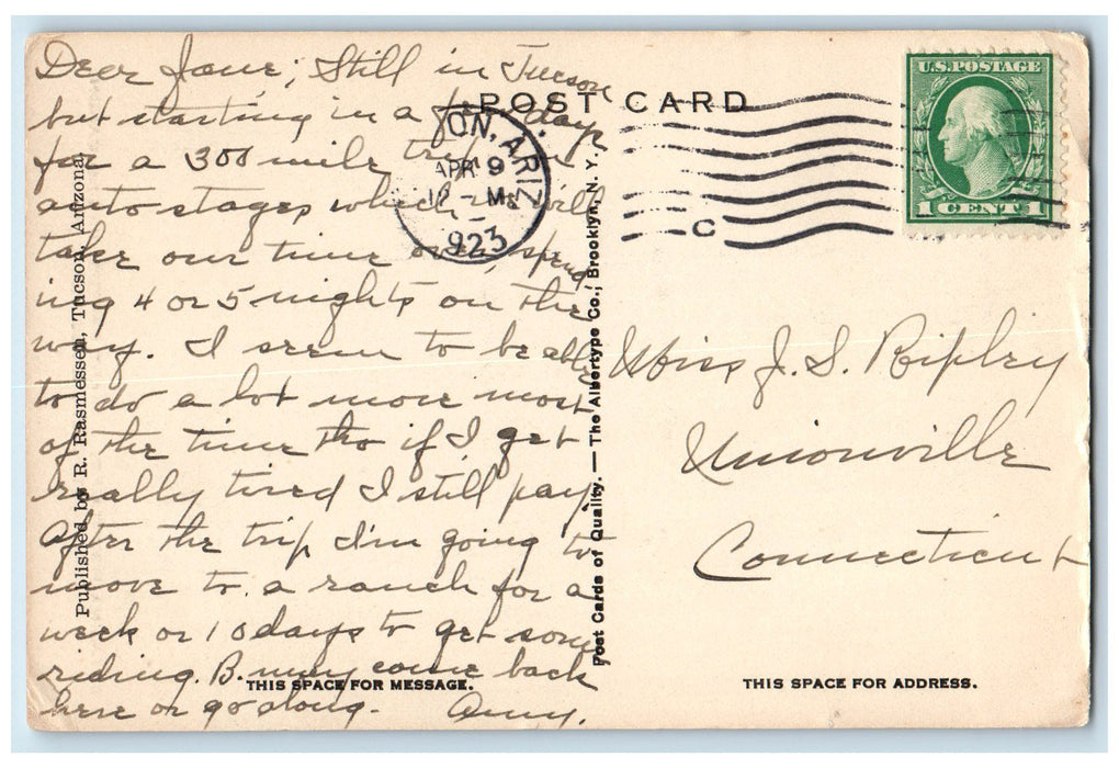 1923 Giant Cactus Catalina Mountains Sabino Canon Tucson Arizona AZ Postcard