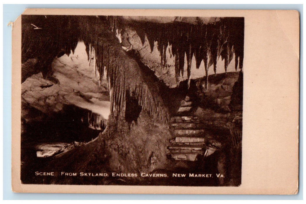 c1905's Scene From Skyland Endless Caverns New Market Virginia VA  Postcard