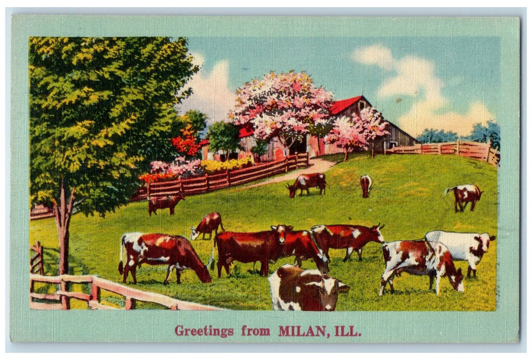 1953 Greetings From Millan Group Of Cow Farm Illinois IL Vintage Posted Postcard