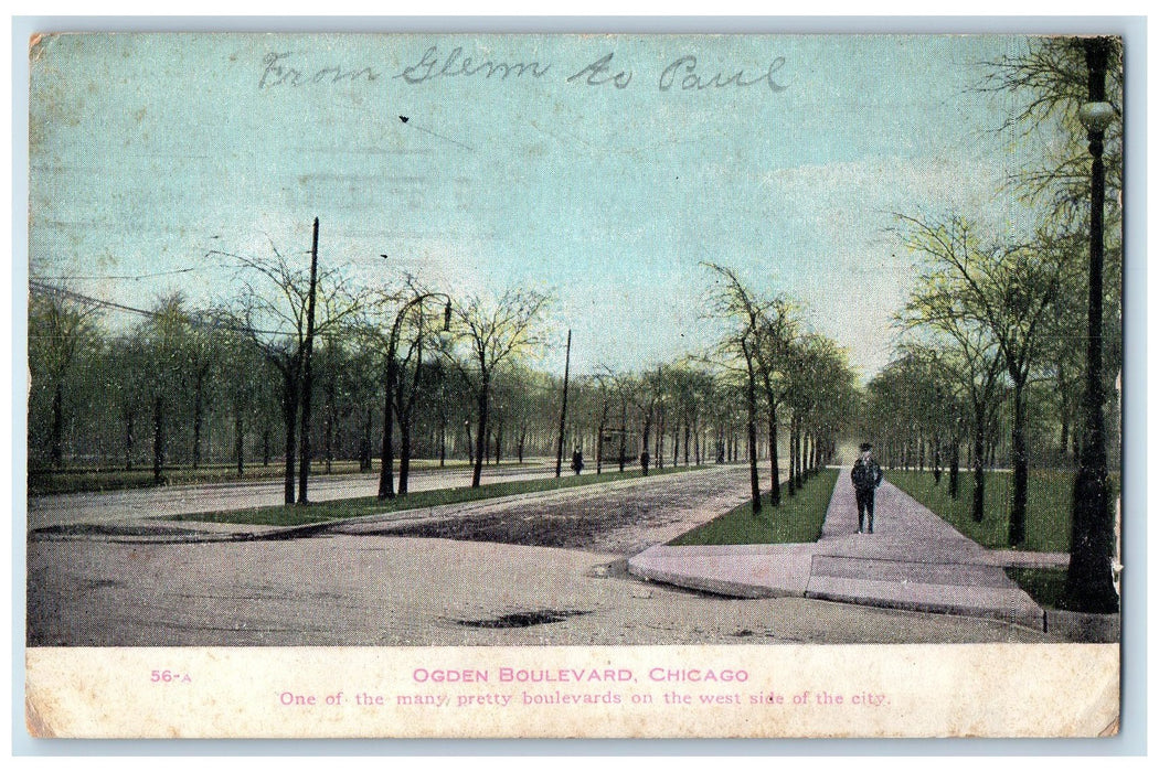 1907 Ogden Boulevard Dirt Road Sidewalk Railroad Chicago Illinois IL Postcard