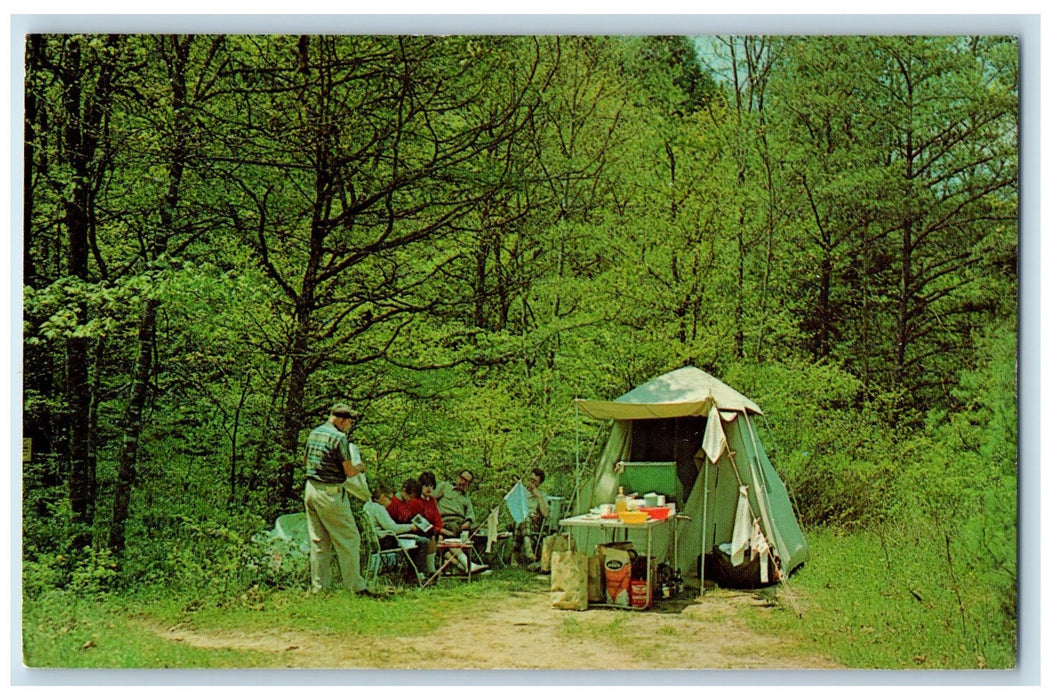 c1960s Camping At Blue Bend Recreation Area West Virginia VA Unposted Postcard