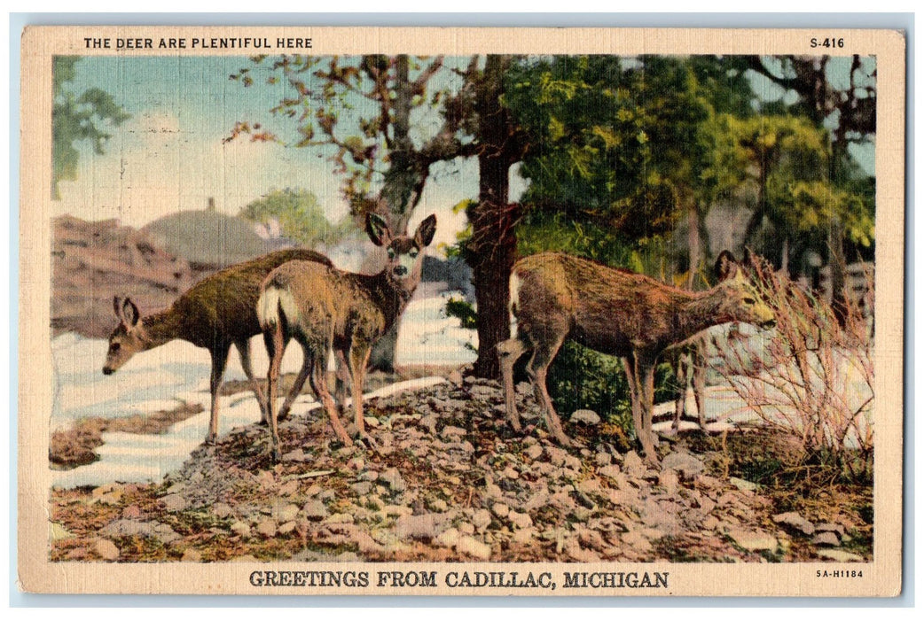 1938 Greetings From Cadillac The Deer Are Plentiful Here Michigan MI Postcard