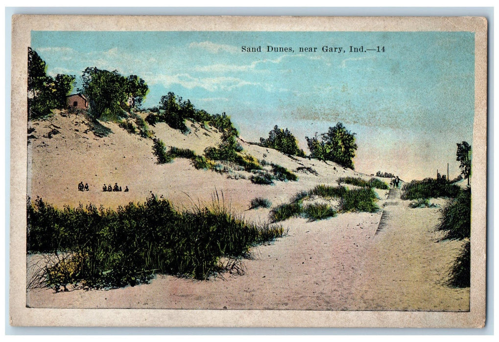 c1920's Sand Dunes Tourists Desert Plants Near Gary Indiana IN Unposted Postcard