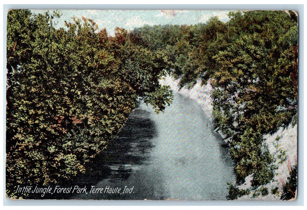 1908 In The Jungle Forest Park Lake River Terre Haute Indiana IN Posted Postcard