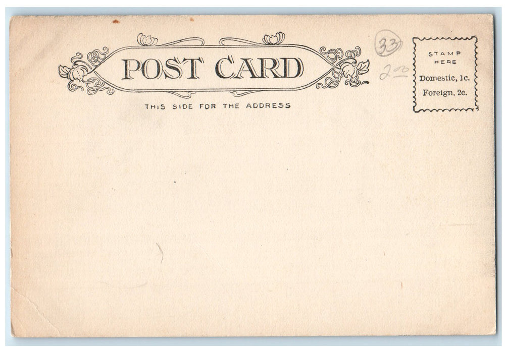 c1905 West Wayne Street From Webster Street Road Fort Wayne Indiana IN Postcard