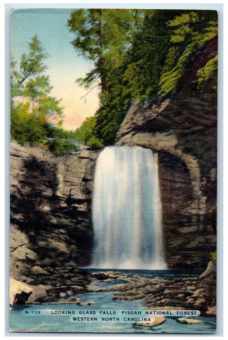 c1950's Glass Falls Pisgah National Forest Western North Carolina NC Postcard