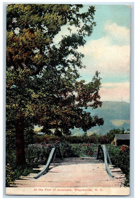 1910 At The Foot Of Junaluska Trees House Waynesville North Carolina NC Postcard