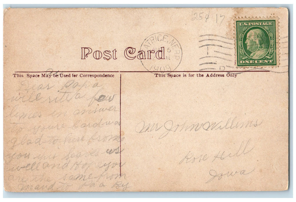 1909 Boating Park From Court Street Bridge Beatrice Nebraska NE Posted Postcard