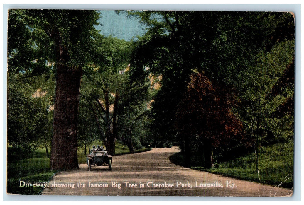 1917 Driveway Famous Big Tree In Cherokee Park Louisville Kentucky KY  Postcard