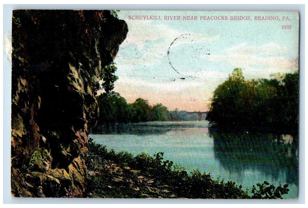 1909 Schuykill River Near Peacocks Bridge Scene Reading Pennsylvania PA Postcard