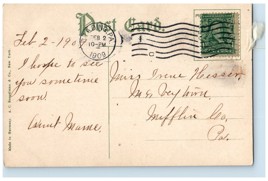 1909 Schuykill River Near Peacocks Bridge Scene Reading Pennsylvania PA Postcard