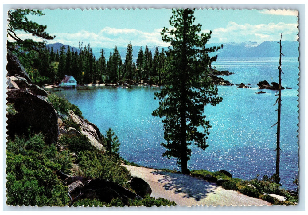 1970 Beautiful Lake Tahoe With Its Rugged Pine Nevada NV Posted Vintage Postcard