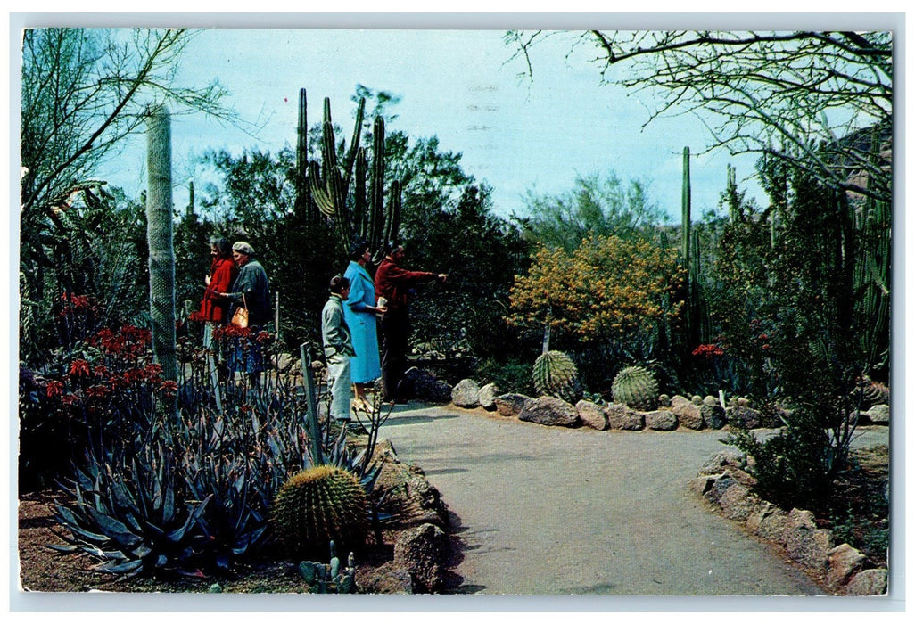 1963 Desert Botanical People Scene Garden Tempe And Phoenix Arizona AZ Postcard