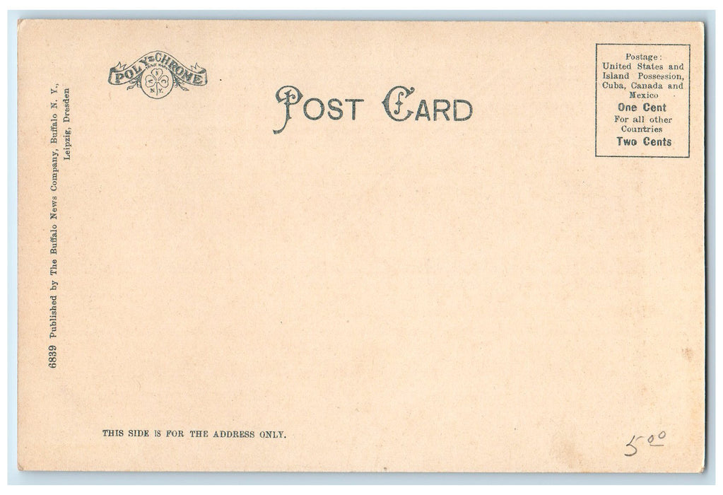 c1905s Lafayette High School Exterior Roadside Buffalo New York NY Postcard