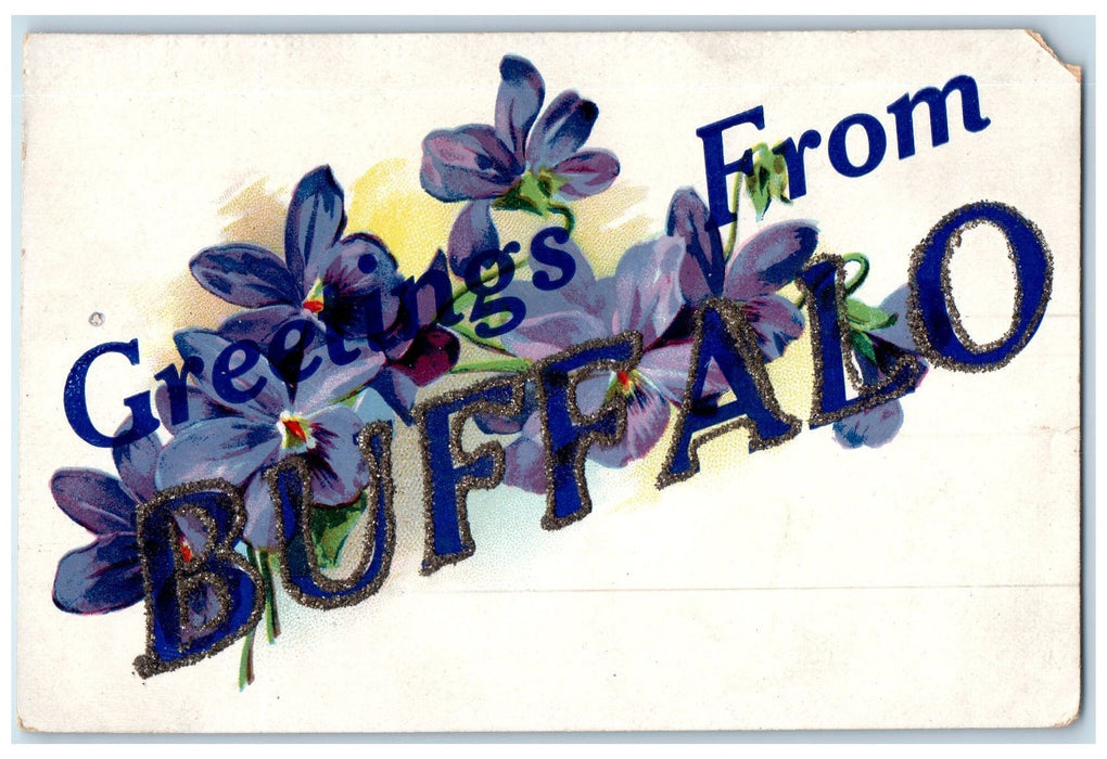 c1960's Greetings From Buffalo Flowers Background New York NY Unposted Postcard