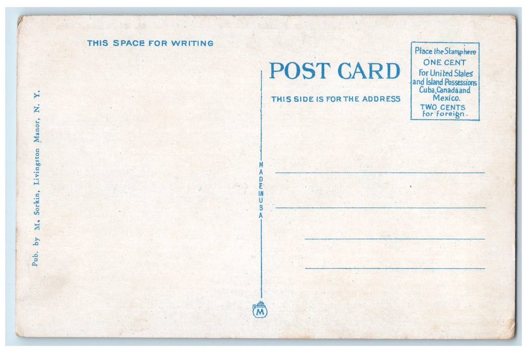 c1920's Trojan Lake Lodge Building Restaurant Living Manor New York NY Postcard