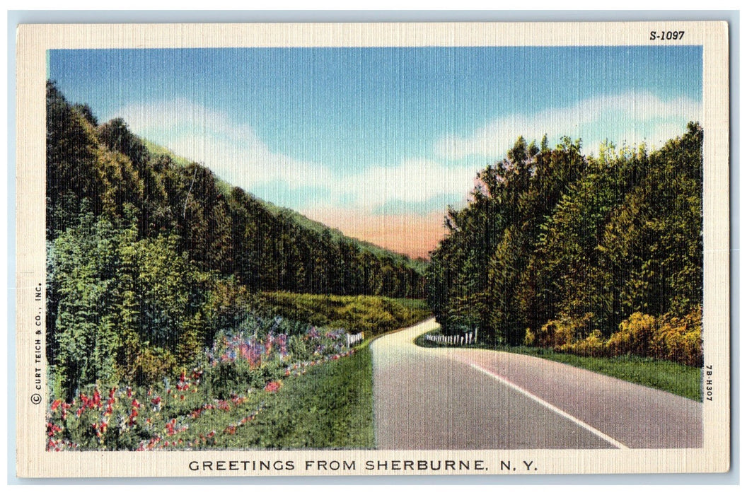 1950 Greetings From Sherburne Concrete Road Grove New York NY Posted Postcard