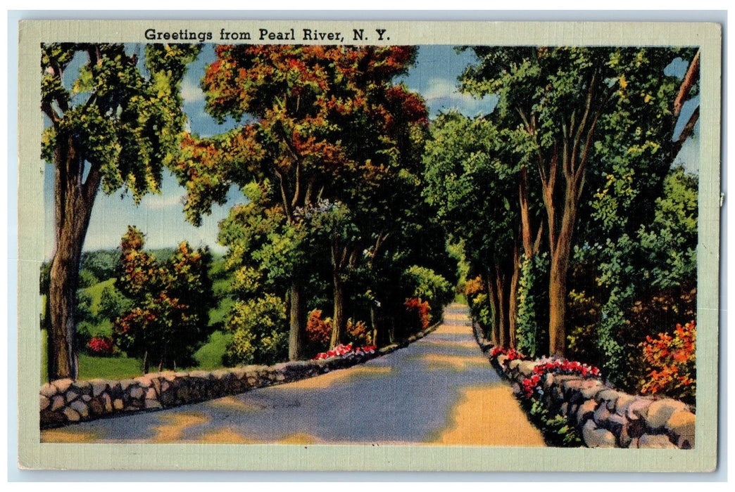 c1940 Greetings From Pearl River Long Dirty Road Lined Tree New York NY Postcard