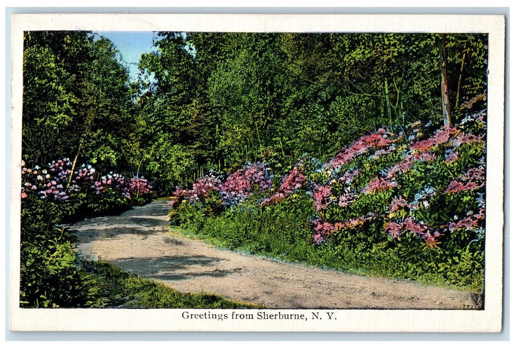 1942 Greetings From Sherburne Grove Dirt Road Flower New York NY Posted Postcard